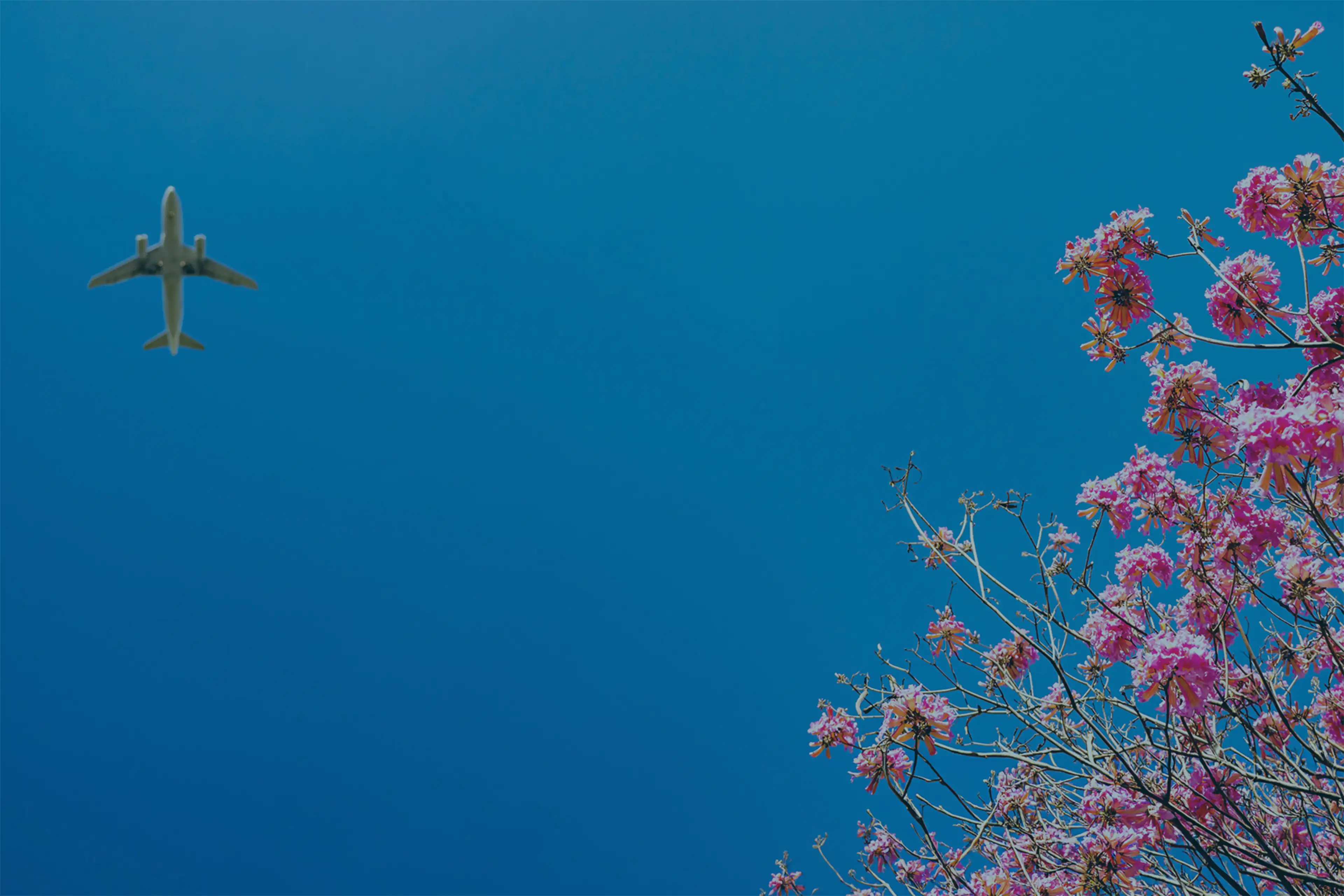 Airport Parking Reservatio product in real-world setting